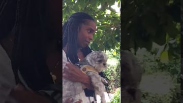 A VERY NAUGHT MONKEY 😱🙈🙊🙉💩🧐🤣🤣