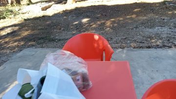 Clearing for The Garden