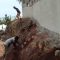 Engineering a Slope Garden@The Beach
