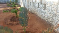 Land Use Potential @Xodus House