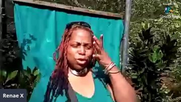 Live from Butterflies Sanctuary