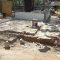 Plot 2 Day 4, Flattened Buildings