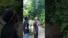 Rest In Power Baba T. Jamaican Tanzanian Repatriated Elder