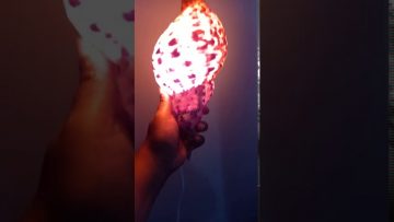 Seashell Lighting Experiment 🐚🏖⭐