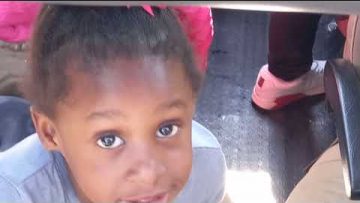 The Unbothered Lions 🦁🦁🦁