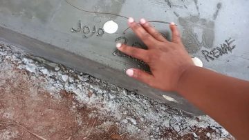 Xodus House Day 65 We Have Plants!