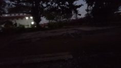 Xodus House Garden Nursery Day1🌱